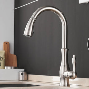 torneira gourmet bica pull-out 1