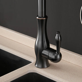 torneira gourmet bica pull-out 4